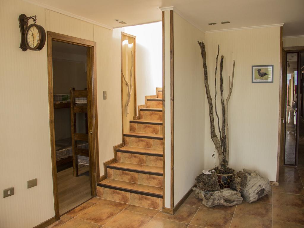 Hostel Entre Vientos Punta Arenas Szoba fotó